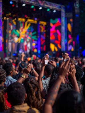 Concerts & Festivals